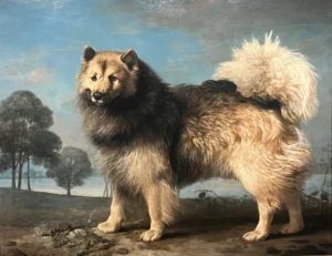 Stubbs, George (1724 – 1806) 1778 (ca.) Turk, ein Hund des 9. Duke of Rutland