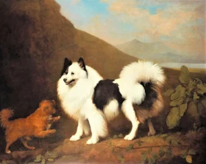 Stubbs-George-1724-1806-1791-Fino-and-Tiny-Royal-Collection