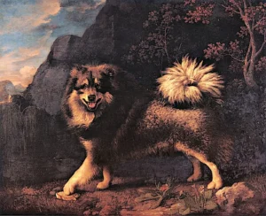 Stubbs – angebl. Stubbs, George – Mouton, ein niederländischer Schifferspitz oder Keeshond