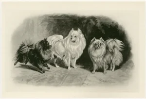 Warsle-Arthur-1864-1949-zugeschrieben-signiert-R.-H.-Moore-1897