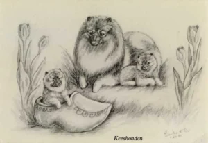 1981