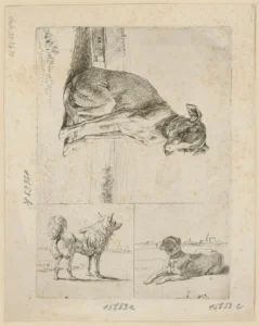 von Kobell, Wilhelm (1766 - 1853), 1811 Halbgeschorener Spitz nach rechts g