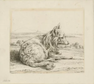 von Kobell, Wilhelm (1766 - 1853) 1811 Nach rechts liegender Hund g