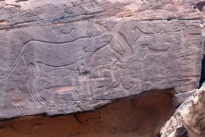 Abbildung 2
Hausrinder und Ziegen wurden zwischen 6800 und 6200 v. Chr. auf der Arabischen Halbinsel eingeführt