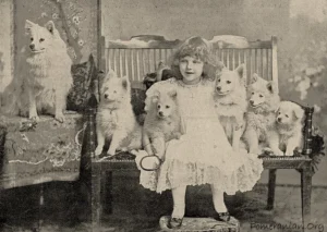 1903