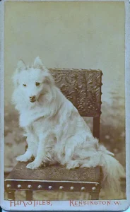 1904