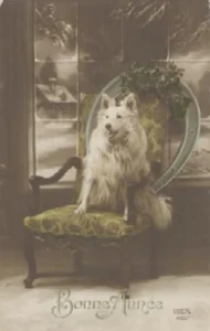 1917