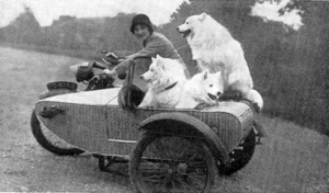 1934
