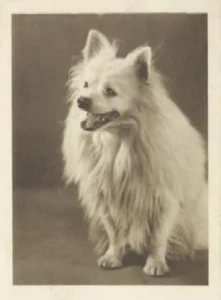 1937