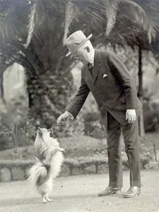 1946