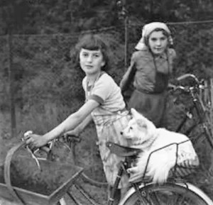 1957 Mädchen bei der Weinlese, (c) Peter Miller, Frankreich