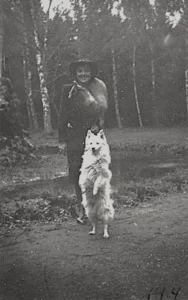 1964