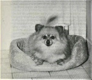 1990