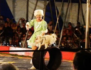 Circus Bostok-Dumas 02