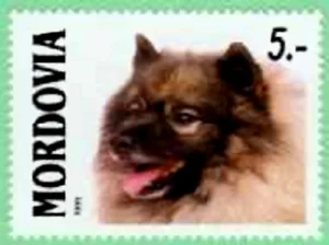 Mordovia, 1999