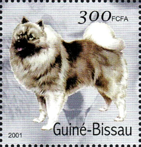 Guinea-Bissao, 2001