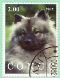 Kongo, 2002