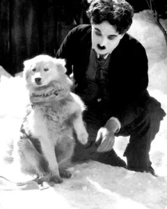 Charles Chaplin - Goldrausch 1925, Abb. 01