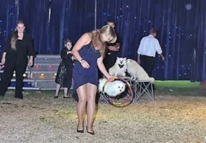 Circus Antoni 02