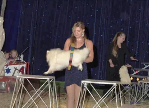 Circus Antoni 04