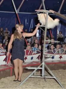 Circus Antoni 05