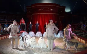 Circus classic -Karl Köllner, Geschw. Saabel, Rogerio Goncalves, 2016 02