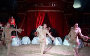 Circus classic -Karl Köllner, Geschw. Saabel, Rogerio Goncalves, 2016 03