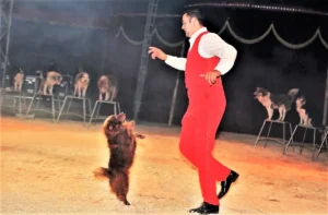 Cirkus Finlandia 01.
