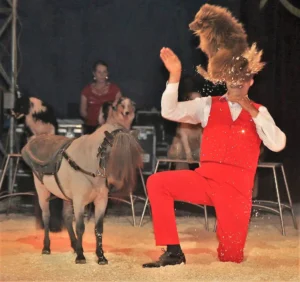 Cirkus Finlandia 02.