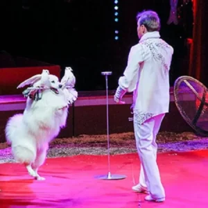 Cirkus Finlandia 06.