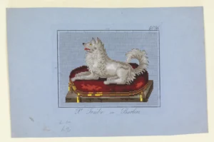 Design für Berliner Wollarbeit, Zeichnung 21 x 28,3 cm, ca. 1850 (P. Trübe, Berlin), Cooper Hewitt, Sammlung Smithsonian Design Museum