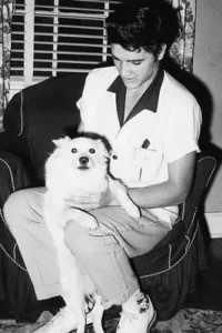 Elvis Presley