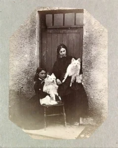 Florence Elizabeth und Clementina, mit je einem Pomeranian
Clementina, Lady Hawarden (1851 - 1861), Victoria and Albert Museum