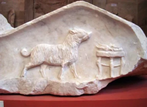 Hund steht vor einem mit Essen gedeckten Tisch, Lapidarium von Avignon, Detail eines Sarkophagdeckels, 2. Jh. n. Chr.,( aus: Autengruber-Thüry, Heidelinde, Hunde in der römischen Antike, Archäopres 2021), Musée Lapidaire, Avignon. Foto: © H. Autengruber-Thüry