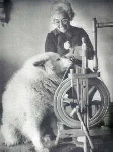 Hundewolle