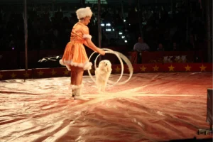 Kelly Miller Circus 2009 04