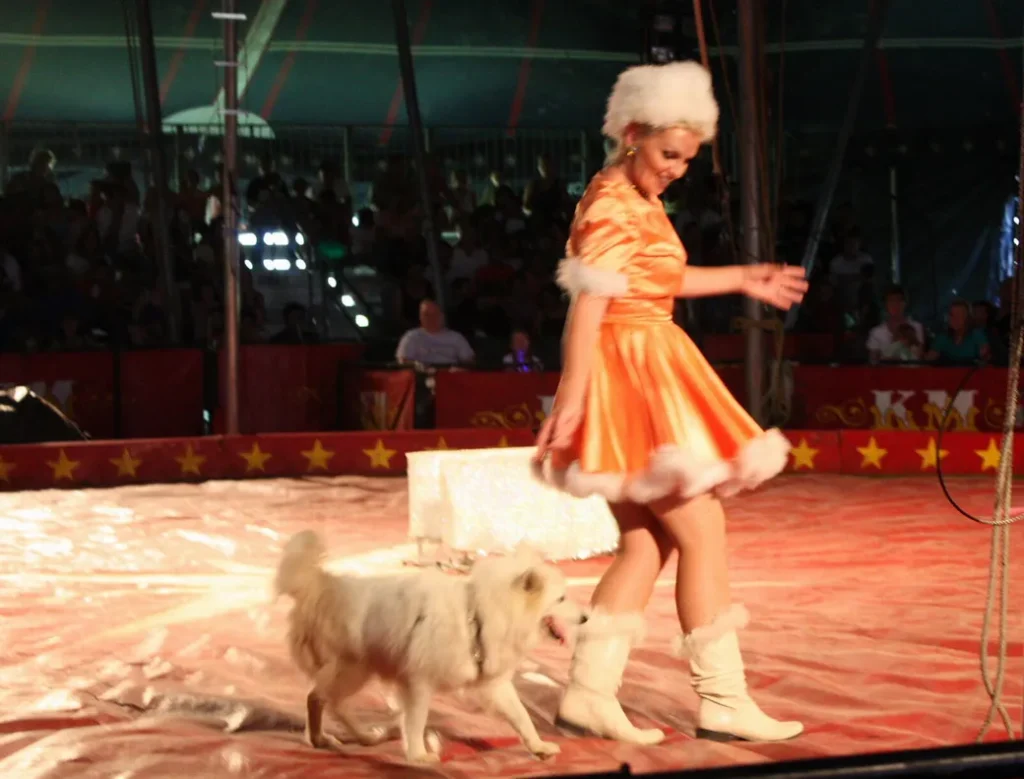 Kelly Miller Circus 2009 05