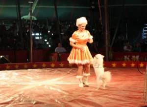 Kelly Miller Circus 2009 06