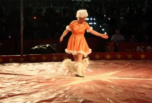 Kelly Miller Circus 2009 07