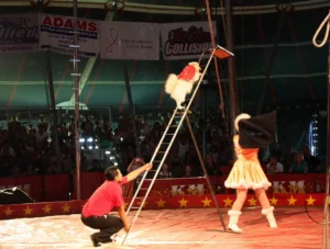 Kelly Miller Circus 2009 08