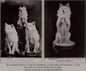 La Troupe Karakallas, 1910 (1 Spitz und 2 Samojeden) 02