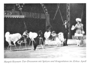 Zirkus Apoll, Margrit Keyssers Tier-Dressuren mit Spitzen und Kragenbären