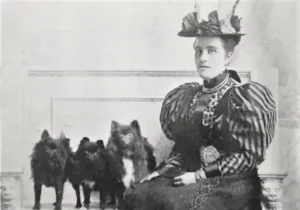 Mrs Wearing mit drei Pomeranian, zwei davon schwarz mit weißen Abzeichen und perfekt dem Original Zuchtstandard von 1892 entsprechend