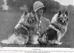 Mrs. Gatacre mit zwei Wolfsspitzhündinnen rheinländischer Abstammung