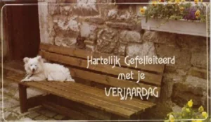 NL 01