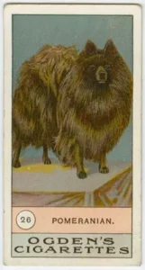 Ogden's Cigarettes