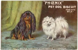 PHOENIX-Hundekekse