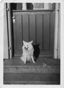 Peppi 01