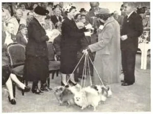 Prinzessin Antoinette von Monaco überreicht den Preis auf der Hundeausstellung in Monte Carlo 1952