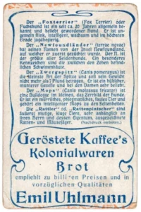 Sammelbild-Serie 5351, Bild 5 - Foxterrier, Zwergspitz, Neufundländer, Mops, Rattler, Emil Uhlmann, ca 1910, Rückseite